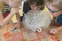 IMG-4803
