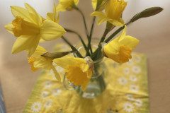 IMG-4815