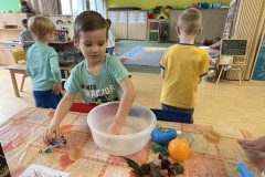 IMG-4960