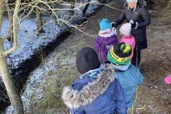 IMG-4982