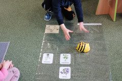 IMG_20230329_084853