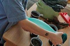 IMG_20230329_094701