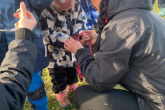 3c32b54e-285c-4afb-bd47-0a28b8b3bfda