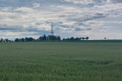 20250602_090954