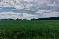 20250602_092429