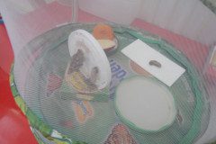 DSCN6073