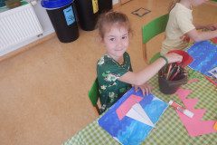 DSCN6252