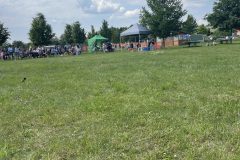IMG_0882