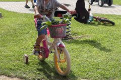 IMG_1056