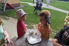 PXL_20230612_075218731