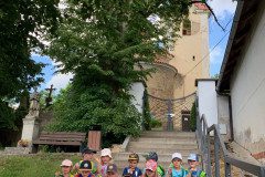 IMG_4531-1