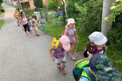 IMG_4533-1