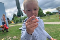 IMG_5087