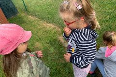 IMG_5103