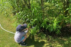IMG_5146