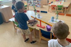 IMG_5627
