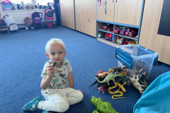 IMG-20260608-WA0012