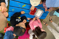 IMG-20260609-WA0017
