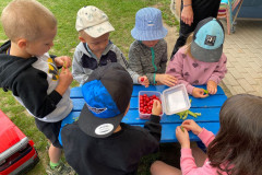 IMG-20260609-WA0019