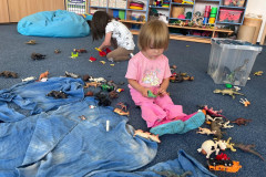 IMG-20260615-WA0012