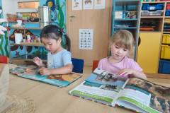 IMG-20260618-WA0005