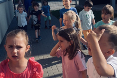 IMG_7684
