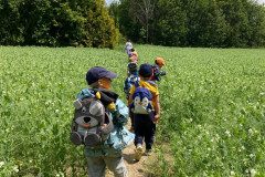 IMG-20240616-WA0020