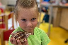 IMG-20240616-WA0034