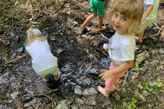 IMG-20240622-WA0005