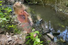IMG-20240622-WA0006
