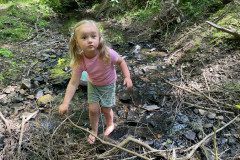 IMG-20240622-WA0008
