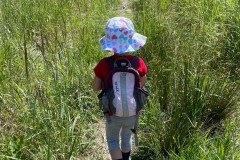 IMG-20240622-WA0011