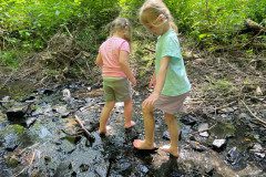 IMG-20240622-WA0013