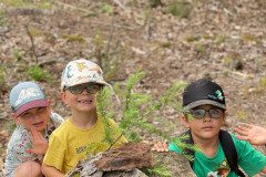 IMG-20240622-WA0016