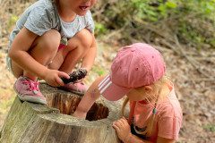 IMG-20240622-WA0033