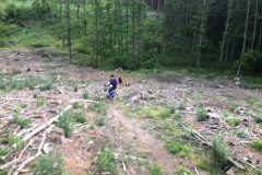 IMG-20230616-WA0025