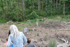 IMG_20230616_190333