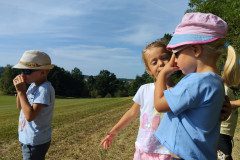 IMG_20221118_141419