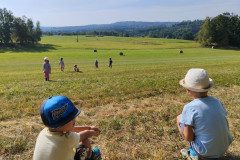 IMG_20221118_141517