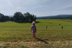 IMG_20221118_141545