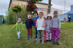 IMG_20221119_131417