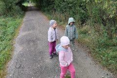 IMG_20221119_133605
