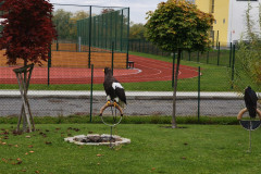 IMG_20251016_100122