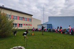 IMG_20251016_100727