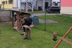 IMG_20251016_100845