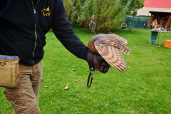 IMG_20251016_100907