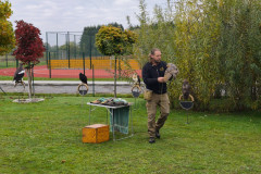 IMG_20251016_101441