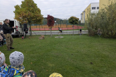 PXL_20251016_080458891