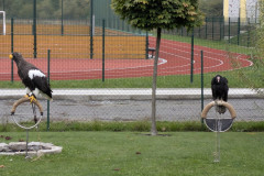 PXL_20251016_080653272