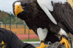 PXL_20251016_083759784